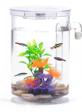 Betta Fish Tank, 360 Aquarium with LED Light, 1 Gallon Fish Bowl, Small Fish ...