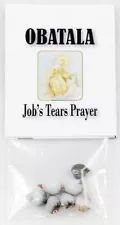 Job's Tears (seeds)