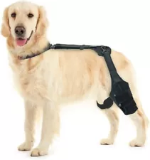 used dog knee brace for sale