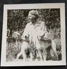 VINTAGE B/W PHOTO SNAP ~ Woman with 2 Bedlington Terriers, 1940s. 6.5 x 6.5cm.