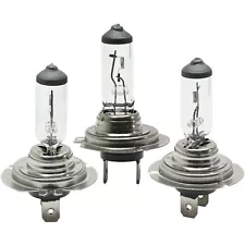 Head Light Driving Headlamp Headlight Bulbs Set of 3 Driver & Passenger Side (For: More than one vehicle)