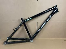 Santa Cruz Chameleon Frame 16” Hardtail/Single Speed Vintage Mountain Bike 1998