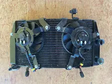 2008 Ducati 1098 Radiator with Fans (548.4.074.1B)