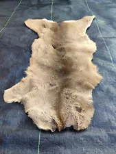 deer hides for sale