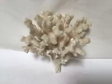 SS84 Vintage Complete and Very Beautiful Natural White Coral For Decoration