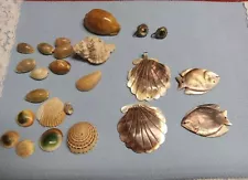 Lot Of Assorted Sea Shells