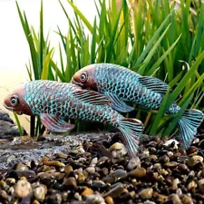 Set of 2 Antique Ceramic Koi Fish Garden Statues, Outdoor Patio Decor