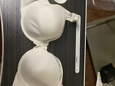 plus size bras for women