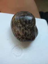 hand polished petoskey stone