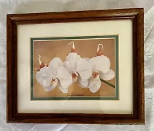 Anne Geddes Moth Orchid 9x11 Framed Double Matted Print