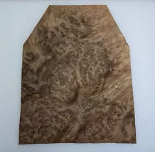 walnut burl wood for sale