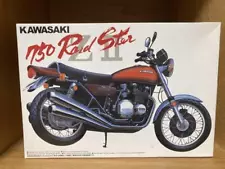 Kawasaki 750 Roadster Zii