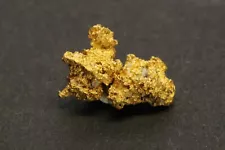 Gold nugget 2 Grams Lunker Hill Placer Pershing Co. NV