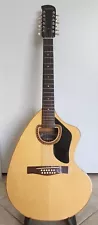 Giannini Craviola 12 String Guitar, Excellent Condition, Professionally Set Up