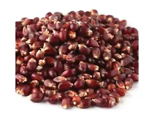 Red Bulk Popcorn 1 Pound Popcorn Kernels