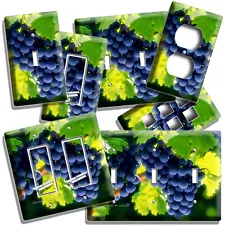 merlot grape vines for sale