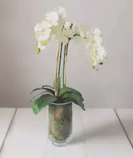 Designer White Phalaenopsis Orchid in Mossed Glass Vase $450 Sklar Tree Masters