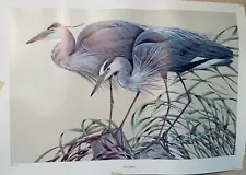 "Two Blue (Herons)" LE Art Print by Art LaMay