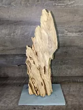 Aquarium Driftwood On Slate 16" Long