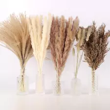 75Pcs Pampas Grass Decor-10Pcs White Pampas Grass, 20Pcs Brown Pampas Grass, 10P