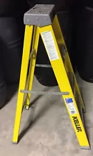 heavy duty ladder