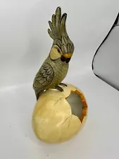 Mexican Ceramic Tonala Hatching Egg Parrot Signed Ruvalcaba 9”x5”