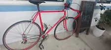 Cinelli Supercorsa Complete Bike CAMPAGNOLO PARTS 58 Cm ..clean