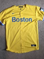 Nike Boston Red Sox City Connect Jersey #2 (no Name On Back) Size Youth XL.Great