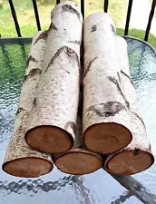 ð¥WHITE ASPEN BIRCH LOGS for Fireplace Decoration or Crafts, Rustic, Wedding 19"