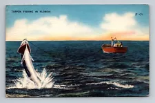 Tarpon Fishing in Florida 1957 FL Vintage Postcard