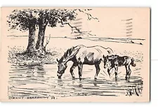 Artist Signed Wesley Dennis Art Postcard 1947 Knob Creek Hardin County KY Horses