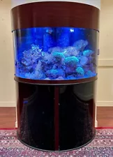 Exceptional Salt Water Reef Aquarium (1/2 cylinder curved glass)