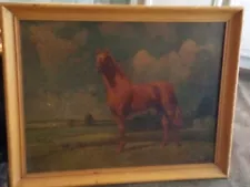 ORIGANL COLORED PAINTING MAN O WAR HISTORICAL RACE HORSE