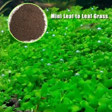 2X Aquarium Planter Moss Grass bonsai Plant Seeds For Aquario Fish Tank Aquatic