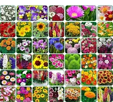 40 Varieties of Flower Seeds Combo For Garden Beautiful Bloom Germination Seeds