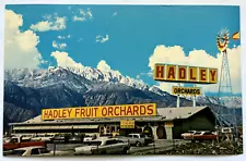 Hadley's Fruit And Nut Orchards Cabazon California CA Exterior Cars Postcard