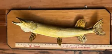 Northern Pike Real Skin Taxidermy, With Wall Mount Plaque. Read Description.