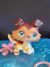 LPS Littlest Pet Shop #58 LPS Popular Sage Collie Brown Dog Blue Eyes Authentic