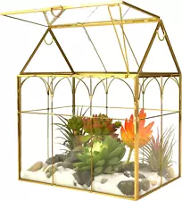 Large Tall Plant Terrarium Glass – Glass Greenhouse Terrarium with Lid, Inches A