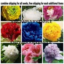 35KINDS RARE CHINA'S TREE PEONY SEEDS PAEONIA SUFFRUTICOSA FLOWER PERENNIL PLANT