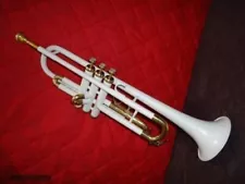 Trumpet SALE!! NEW WHITE COLOURED BRSSS STUDENT Bb FLAT TRUMPET+ CASE+M/P