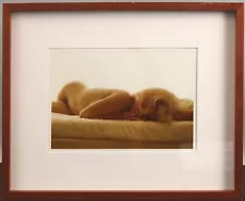 Authentic LEIF-ERIK NYGARDS Photograph of Nude MARILYN MONROE Bel Air Hotel, NR