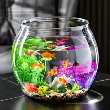 Display Fish Bowls for Retail Store Small Wide Mouth Transparent Tank Office