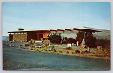 Vantage Washington, Ginkgo State Park Petrified Wood Museum, Vintage Postcard