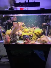 saltwater aquarium equipment