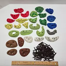 ROCK CLIMBING HOLDS Lot of 28 - Different Color Shape Wall Grips - Metolius?