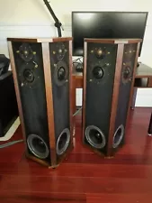 Allison speakers_model two refoam and profesionally refinish