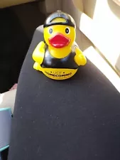 ucf duck for sale