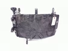 16 Ducati Monster 821 Radiator (For: 2018 Ducati Monster 821)