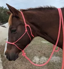 Parelli, Clinton Anderson Natural Horsemanship Training Rope Halter, Custom Made